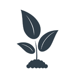 Herb Garden